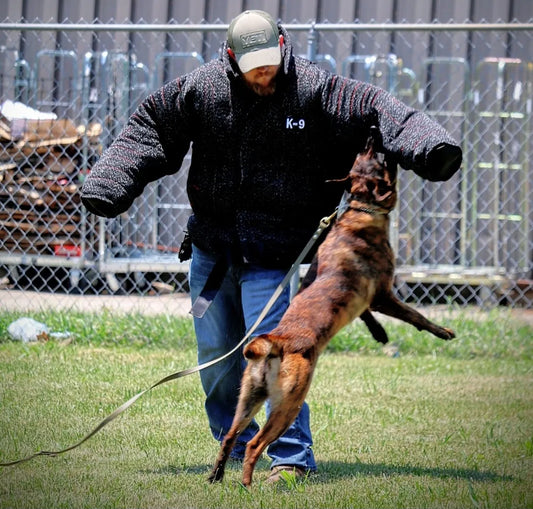 Unleashing the Protector: A Deep Dive into Protection Dogs